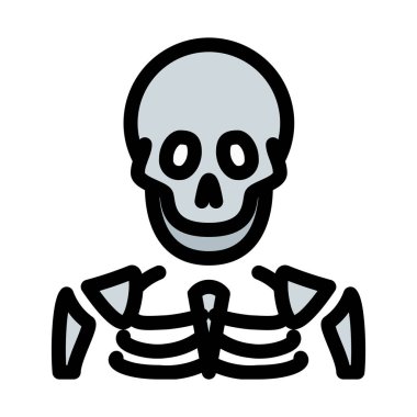 İnsan iskelet kemikleri, vektör çizim