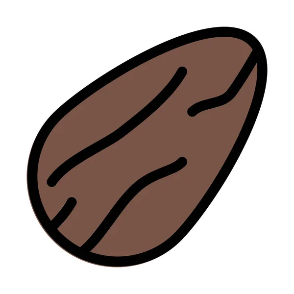 Almond Dry Fruit Vector Illustration — Stock Vector