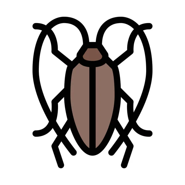 Kakerlake Oder Insektenvektor Illustration Auf Weißem Hintergrund — Stockvektor