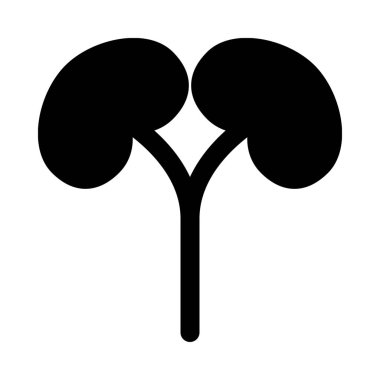 Böbrekler, fasulye şekilli organ.