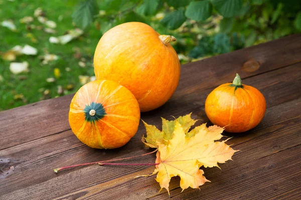 Naturaleza Muerta Con Pequeñas Calabazas Hojas Amarillas Sobre Mesa — Foto de Stock