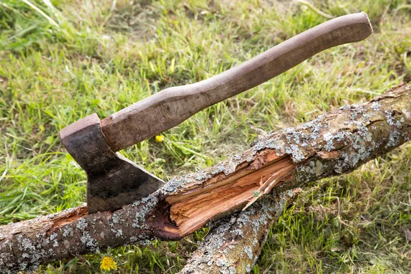 Viejo Hacha Está Atascada Árbol Contra Fondo Hierba — Foto de Stock