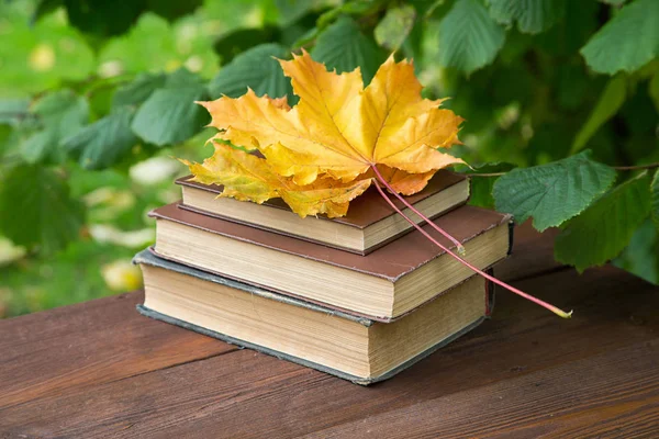 old books with yellow maple leaves on a rustic table