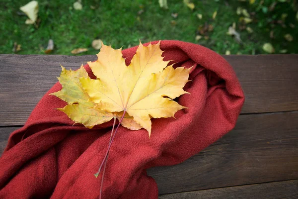 Kırmızı Eşarp Sarı Akçaağaç Yaprakları Bir Masada Sonbaharda — Stok fotoğraf