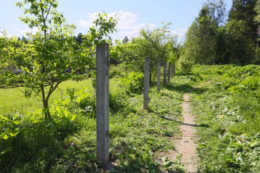 bir yaz gününde çitin üzerinden eski Beton sütunlar
