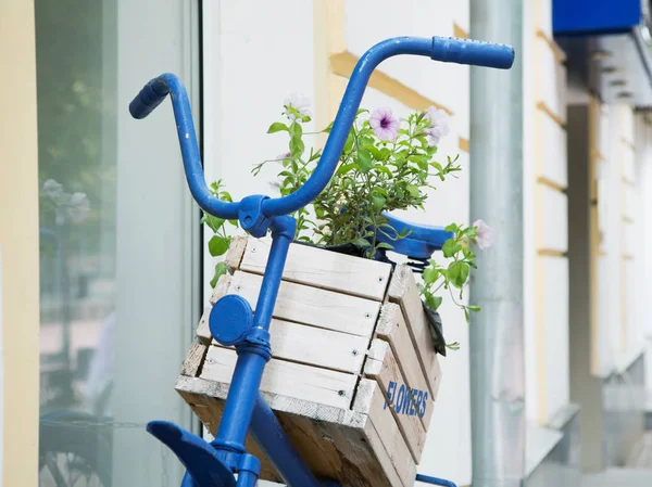 Scatola di legno con fiori su una vecchia strada di città bici blu — Foto Stock