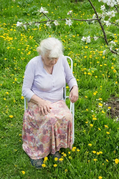 De grootmoeder in de tuin onder een bloeiende appelboom — Stockfoto