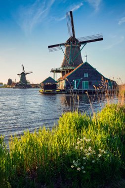 Gün batımında Hollanda 'daki Zaanse Schans' da yel değirmenleri. Zaandam, Nether