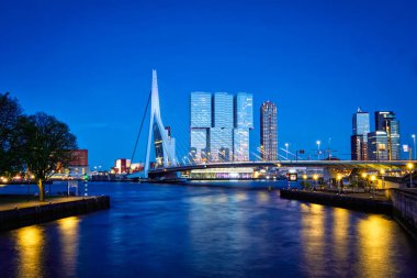 Erasmus Köprüsü, Rotterdam, Hollanda
