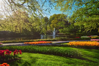 Keukenhof Çiçek Bahçesi. Lisse, Hollanda.