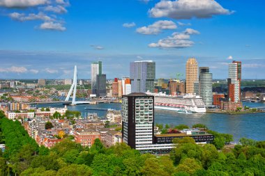Rotterdam şehri ve Erasmus Köprüsü manzarası 