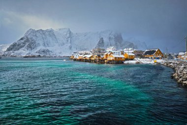 Yellow rorbu houses, Lofoten islands, Norway clipart