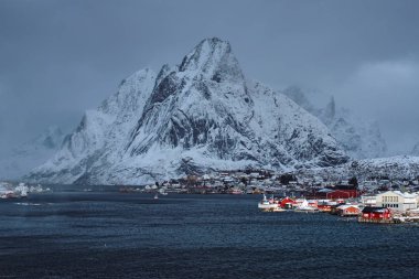 Reine balıkçı köyü, Norveç