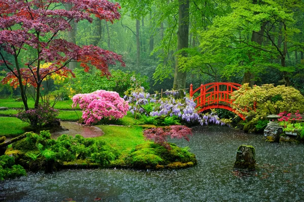 Jardin japonais, Parc Clingendael, La Haye, Pays-Bas — Photo