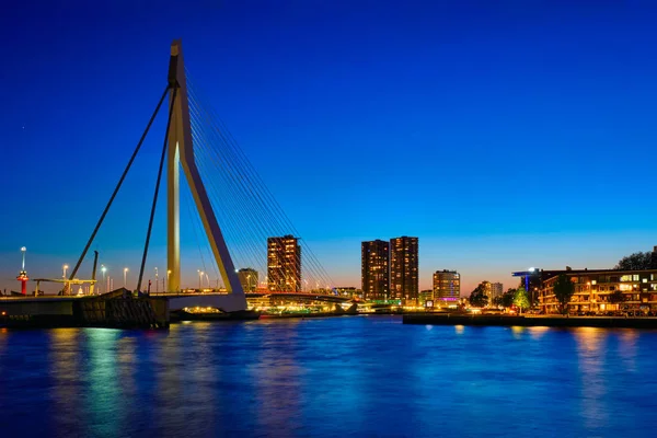 Erasmus Bridge, Rotterdam, Nederländerna — Stockfoto