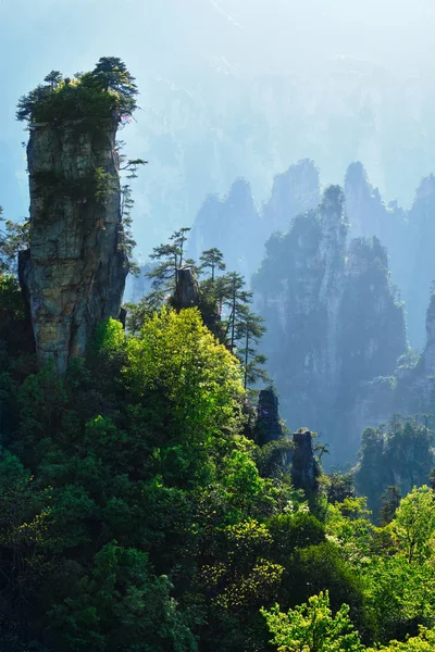 Zhangjiajie bergen, China — Stockfoto