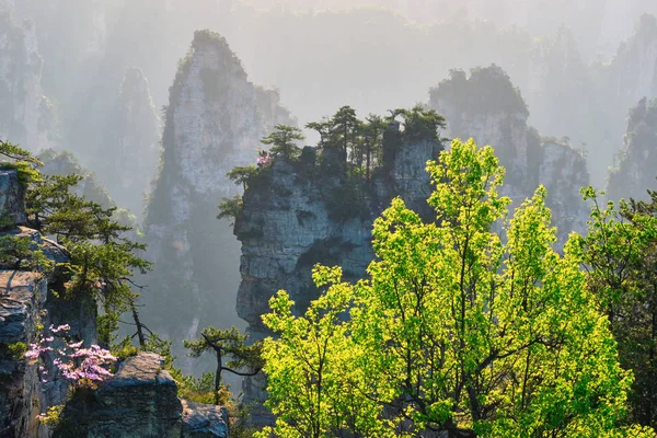 Горы Чжанцзяцзе, Китай — стоковое фото