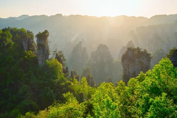Zhangjiajie bergen, China — Stockfoto