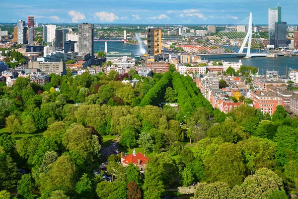 Vista de la ciudad de Rotterdam y el puente Erasmus — Foto de Stock