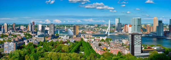 Panorama miasta Rotterdam i mostu Erasmus — Zdjęcie stockowe