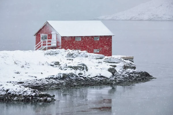 Červený rorbu dům v zimě, Lofoten ostrovy, Norsko — Stock fotografie