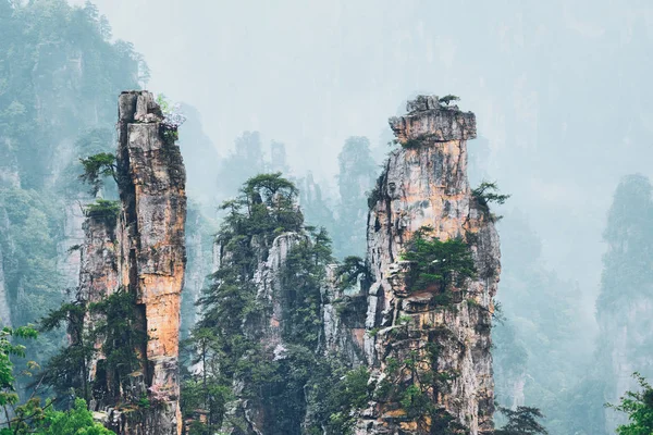 Zhangjiajie montagne, Cina — Foto Stock