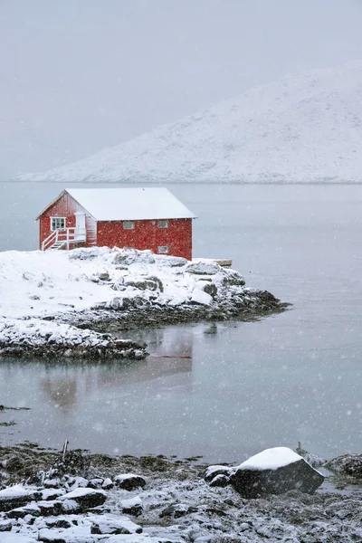 Červený rorbu dům v zimě, Lofoten ostrovy, Norsko — Stock fotografie