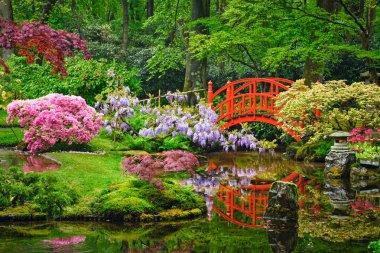 Japon bahçesi, Park Clingendael, Lahey, Hollanda