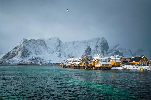Žluté rorbu domy, Lofoten ostrovy, Norsko — Stock fotografie