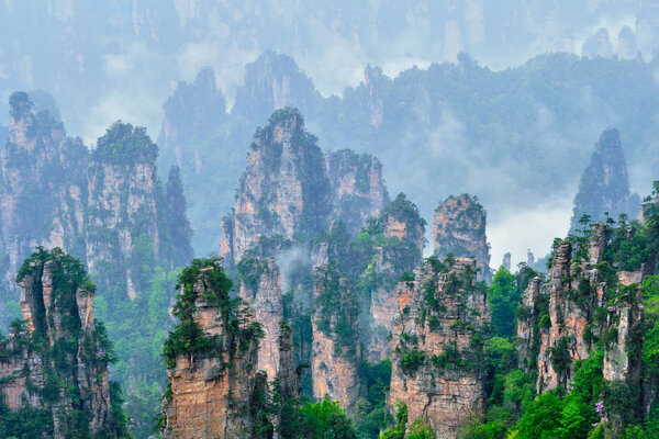 Famous tourist attraction of China - Zhangjiajie stone pillars cliff mountains in fog clouds at Wulingyuan, Hunan, China