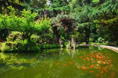 Wangjianglou park. Chengdu, Sichuan, Çin