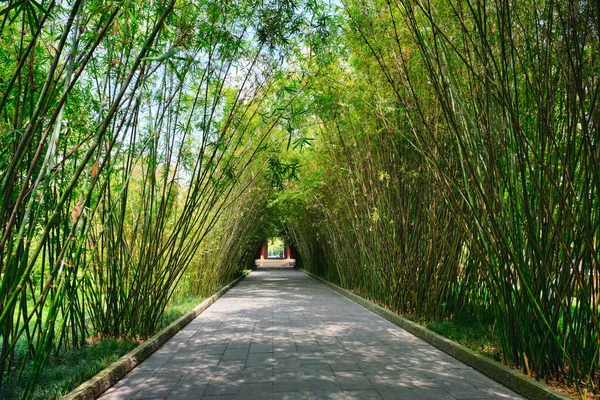 Parque Wangjianglou. Chengdu, Sichuan, China — Fotografia de Stock