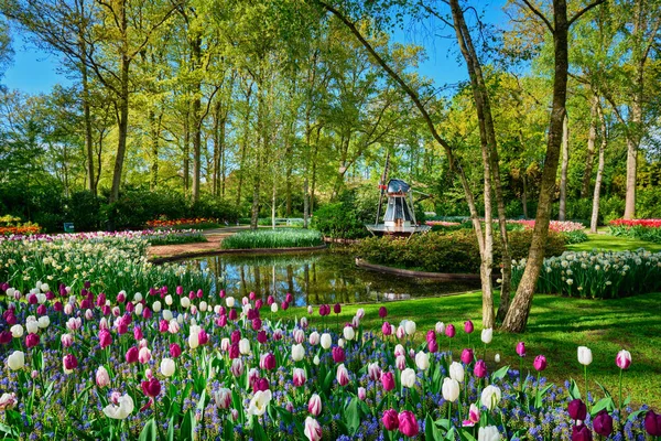 Keukenhof blomsterträdgård. Lisse, Nederländerna. — Stockfoto