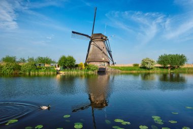 Hollanda 'daki Kinderdijk' te yel değirmenleri. Hollanda