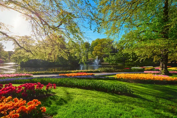 Jardin fleuri de Keukenhof. Lisse, Pays-Bas . — Photo