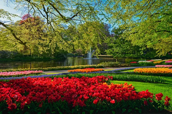 Keukenhof flower garden. Lisse, the Netherlands. — Stock Image Keukenhof flower garden. Lisse, the Netherlands. Royalty Free Stock Images