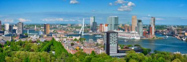 Rotterdam şehri ve Erasmus Köprüsü Panoraması 