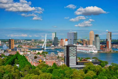 Rotterdam şehri ve Erasmus Köprüsü manzarası 