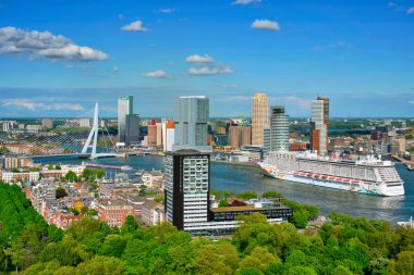 Rotterdam şehri ve Erasmus Köprüsü manzarası 