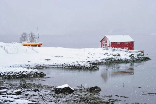 Červený rorbu dům v zimě, Lofoten ostrovy, Norsko — Stock fotografie