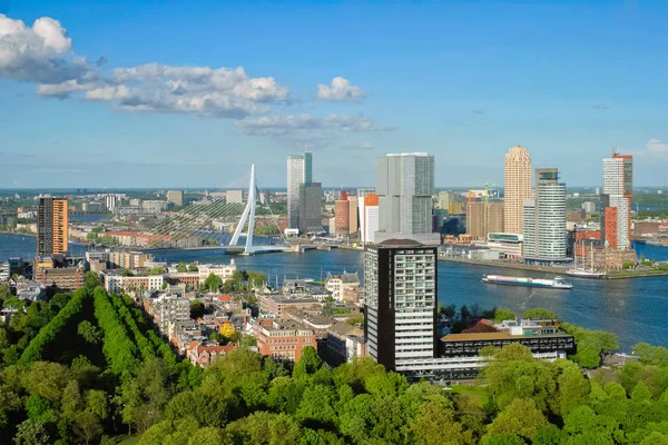 鹿特丹市和Erasmus桥的景观 — 图库照片