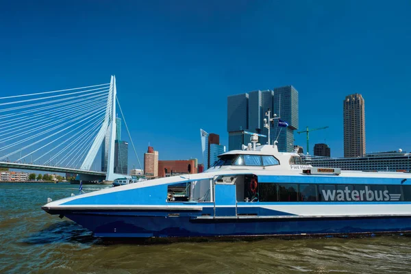 鹿特丹城市风光与伊拉斯谟大桥和小船 — 图库照片