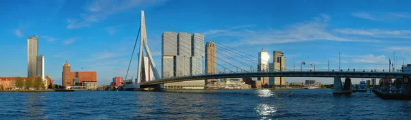 Panorama Van Rotterdam Stadsgezicht Met Erasmusbrug Rivier Nieuwe Maas Zonsondergang — Stockfoto