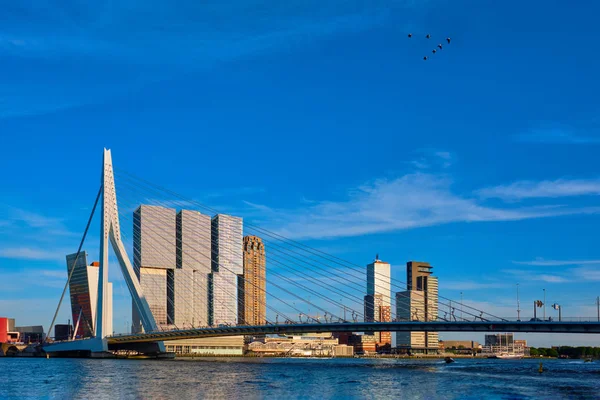 Panoráma města Rotterdam, Nizozemsko — Stock fotografie