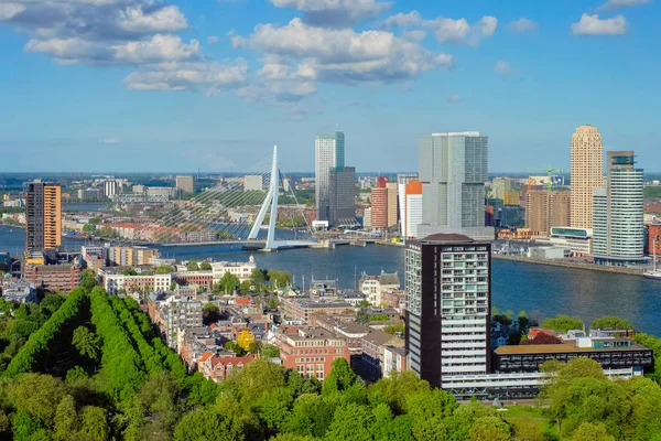 Utsikt över Rotterdams stad och Erasmusbron — Stockfoto