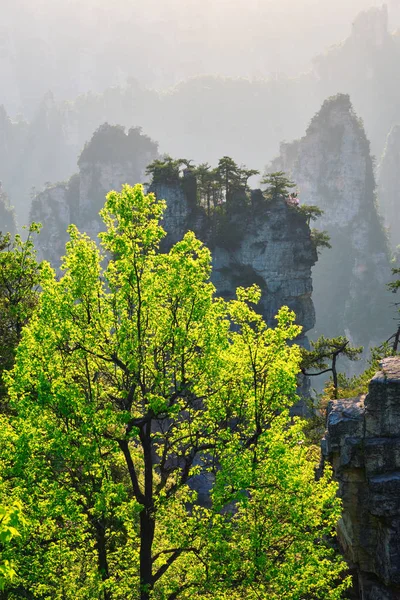 Zhangjiajie mountains, China — Stock Photo, Image