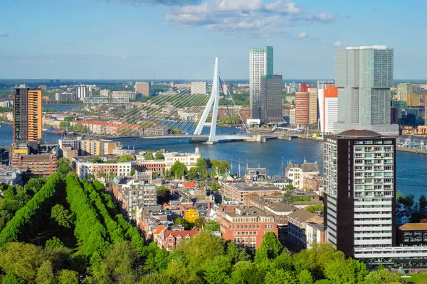 Widok na Rotterdam i most Erasmus — Zdjęcie stockowe