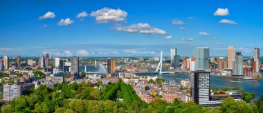 Rotterdam şehri ve Erasmus Köprüsü manzarası