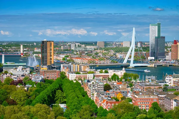 Вид на город Роттердам и мост Эразмус — стоковое фото
