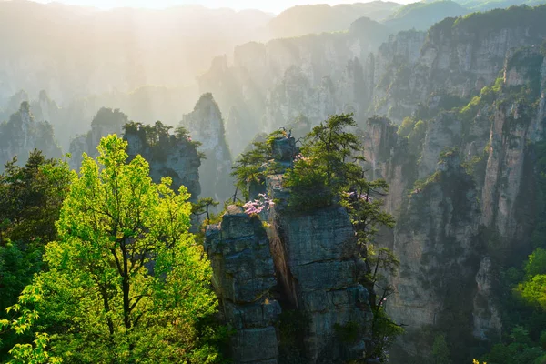 中国张家界山脉 — 图库照片
